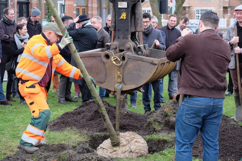 Stunt mannen 1979, Burgemeester plant de eerste boom