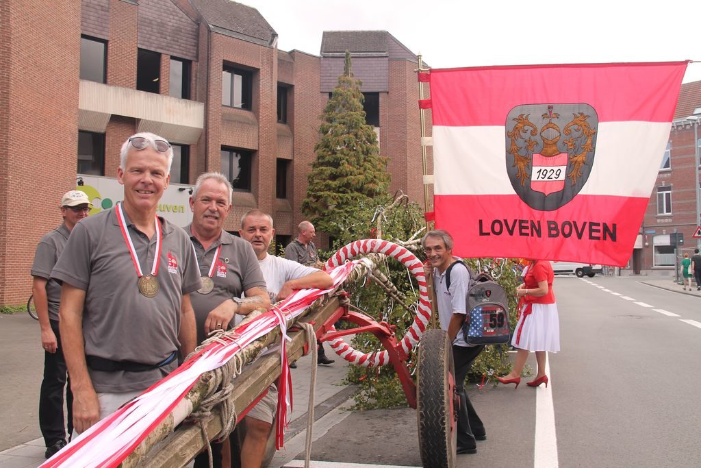 de 46 meyboom is gereed in Leuven