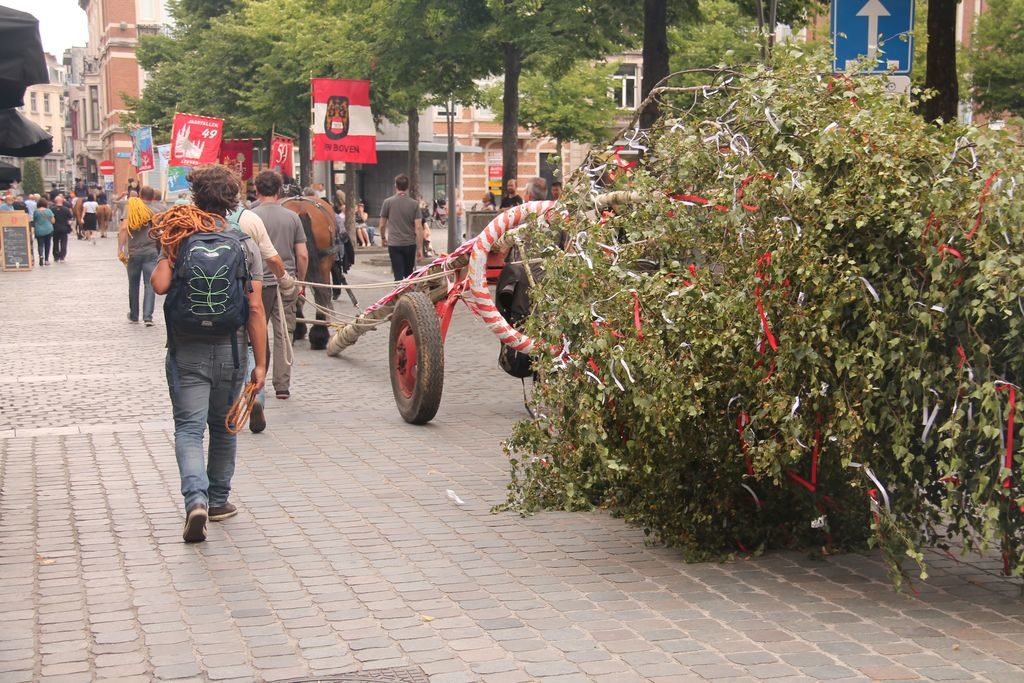 De stoet van de 46st meyboom Leuven