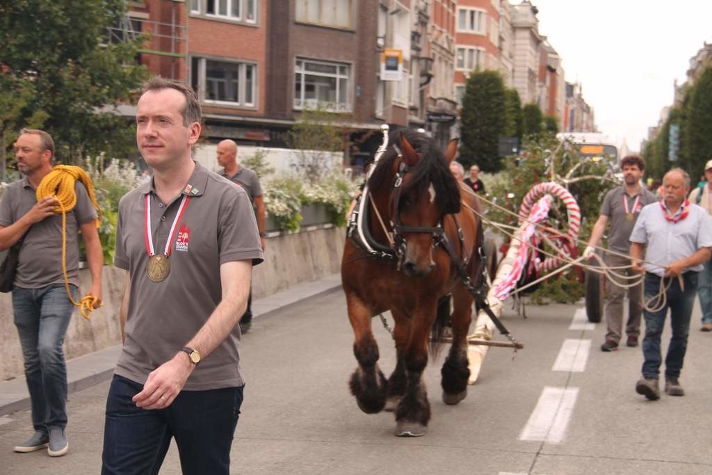 De stoet van de 46st meyboom Leuven