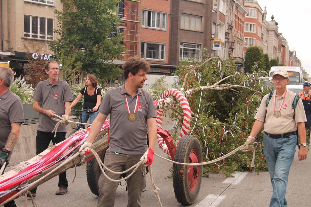 De stoet van de 46st meyboom Leuven