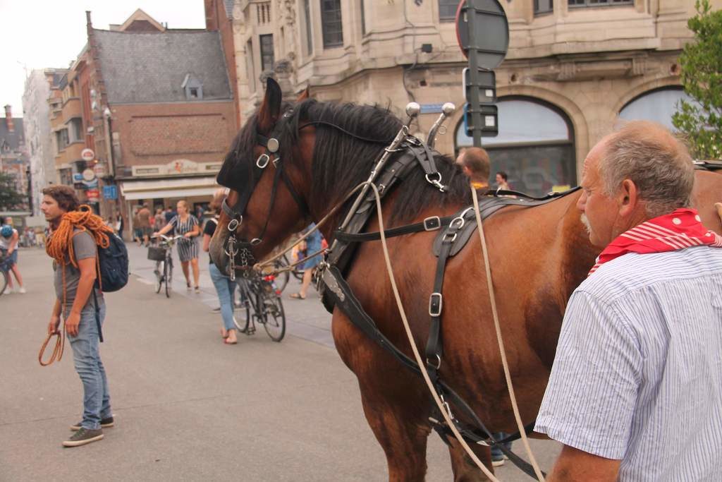 De stoet van de 46st meyboom Leuven