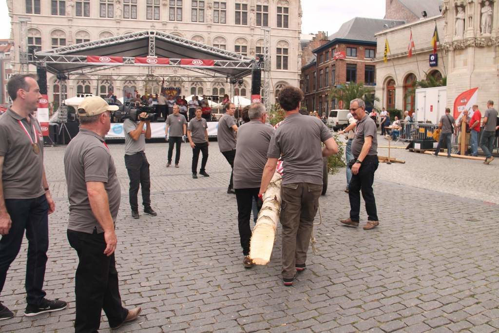 46st meyboom Leuven