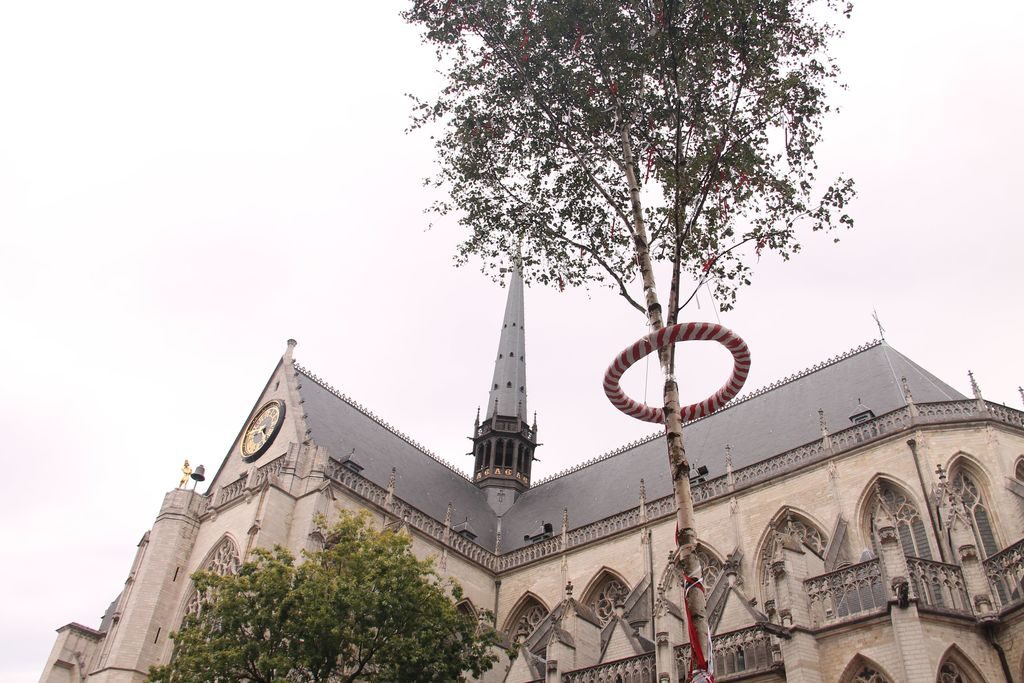 46st meyboom Leuven
